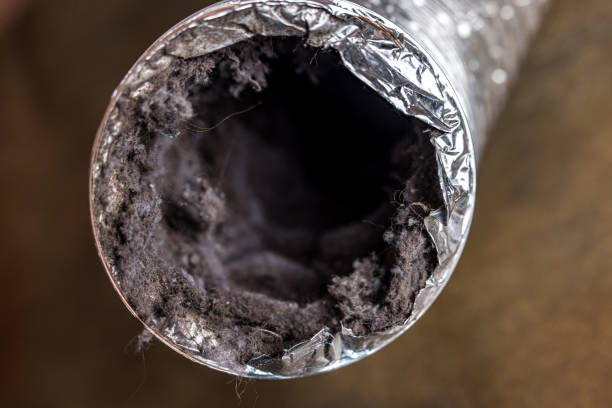 Best Air Duct Cleaning Near Me  in Fort Polk South, LA