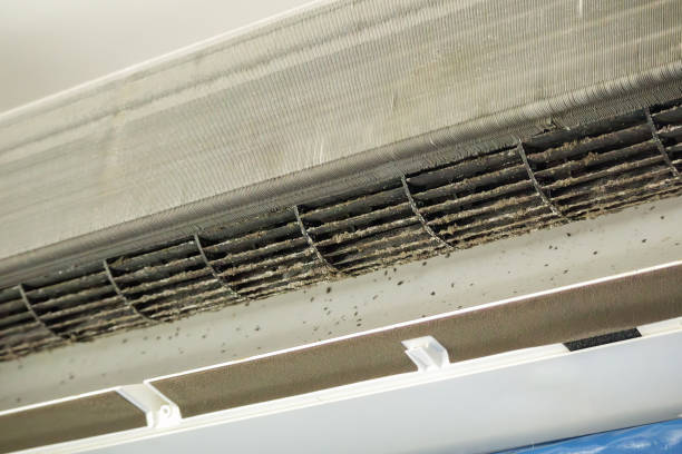 Best HVAC Maintenance and Cleaning  in Fort Polk South, LA